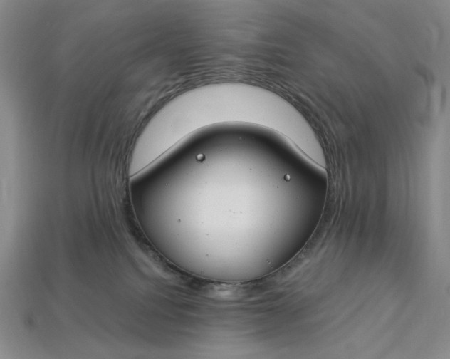 X0000112900088200909111534