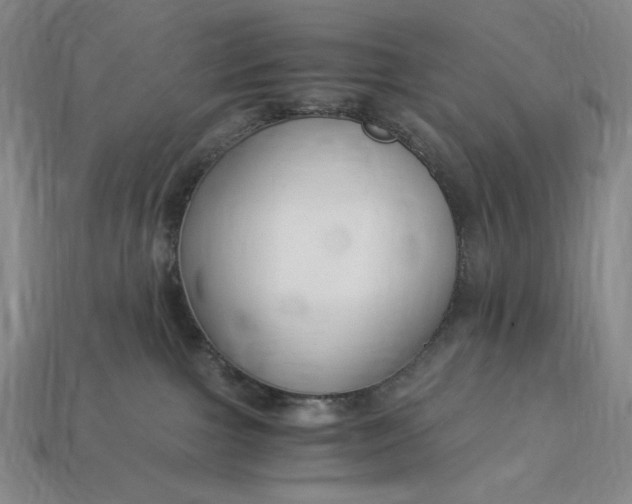 X0000112900091200909111534