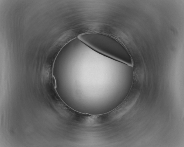 X0000112900092200909111534