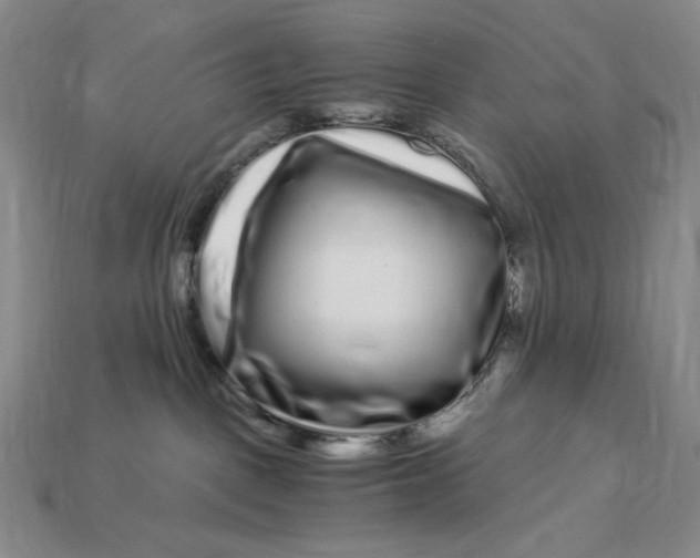 X0000112900093200909111534