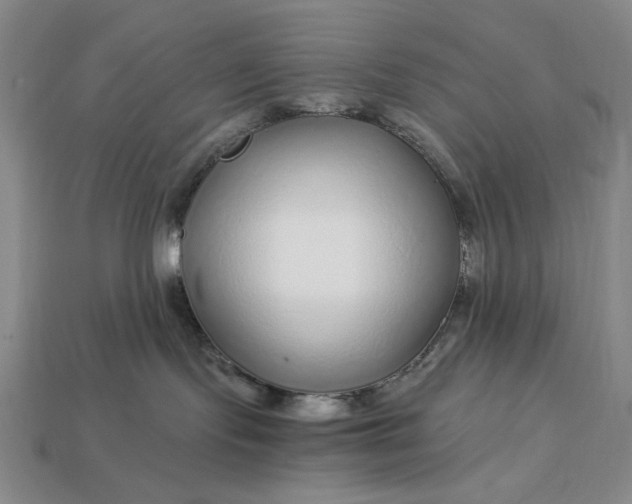 X0000112900095200909111534
