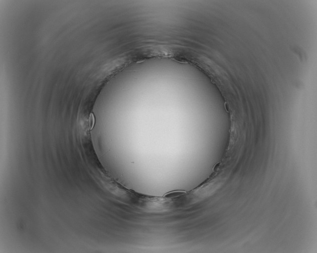 X0000112900096200909111534