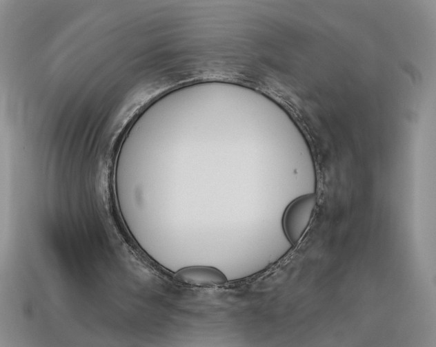 X0000112900098200909111533