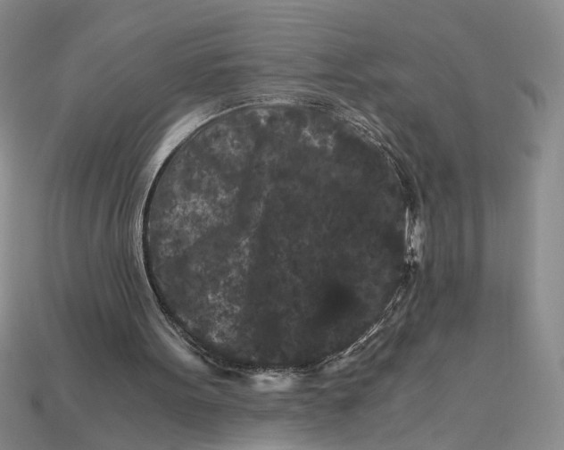 X0000112900099200909111533