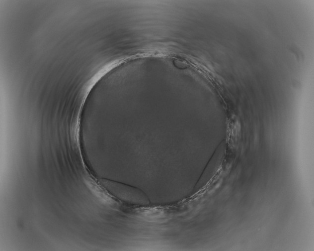 X0000112900100200909111533