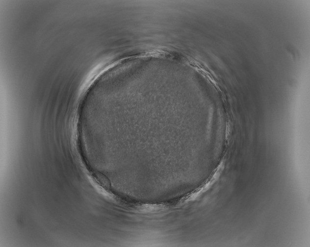 X0000112900101200909111533