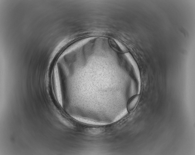 X0000112900102200909111533
