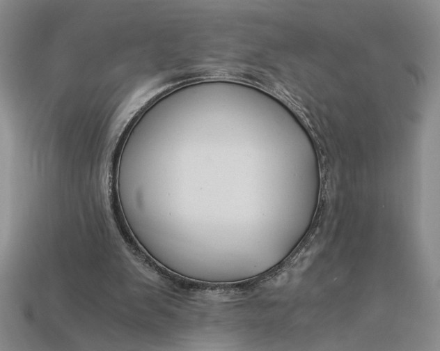 X0000112900103200909111533