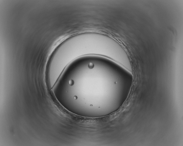 X0000112900104200909111533