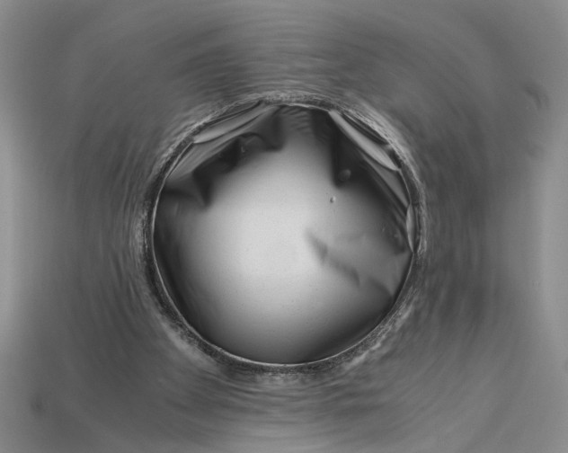 X0000112900105200909111533