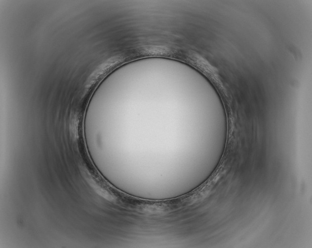 X0000112900106200909111533