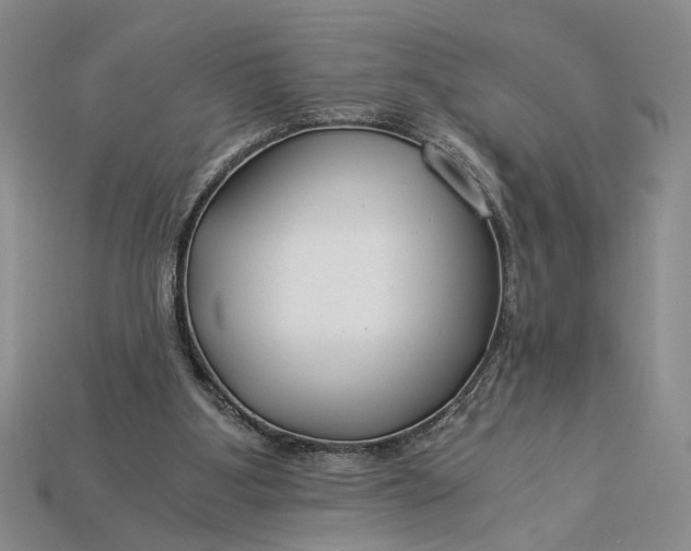 X0000112900107200909111533