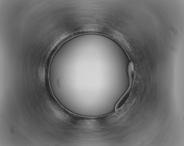 X0000112900108200909111533