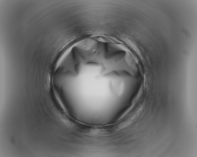 X0000112900109200909111533