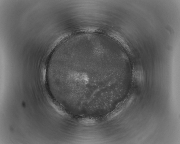 X0000112900110200909111533