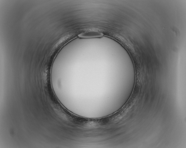 X0000112900111200909111533