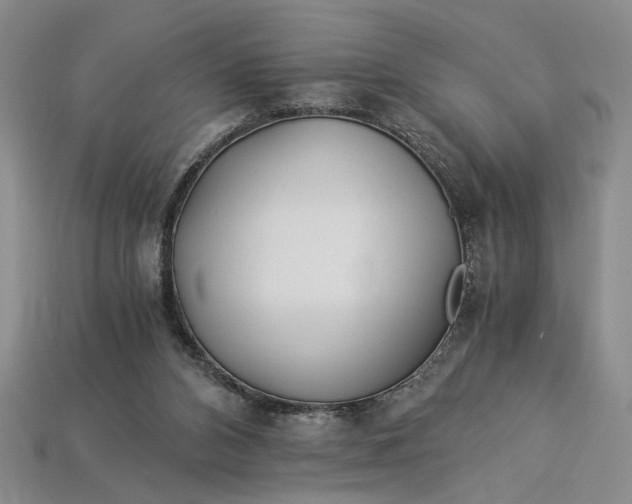 X0000112900112200909111533