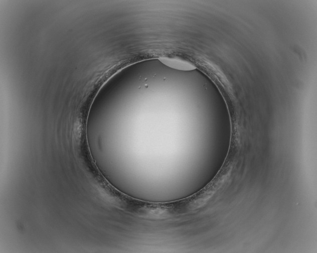 X0000112900113200909111533