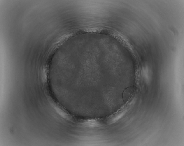 X0000112900114200909111533