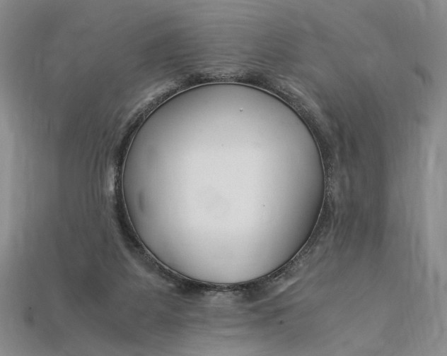 X0000112900115200909111533