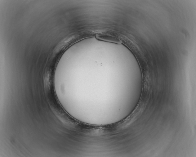 X0000112900116200909111533