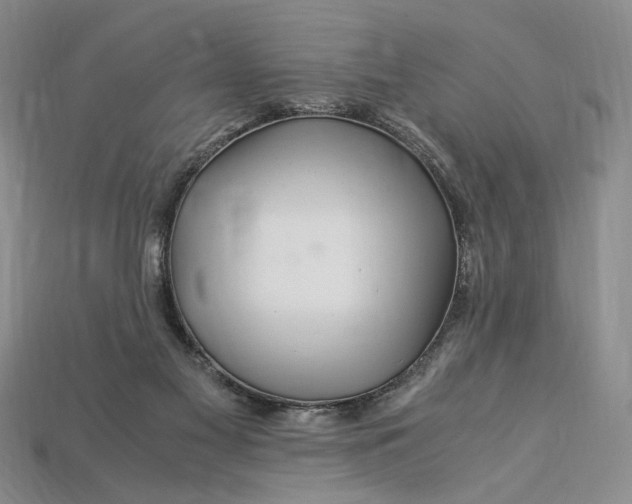 X0000112900117200909111533