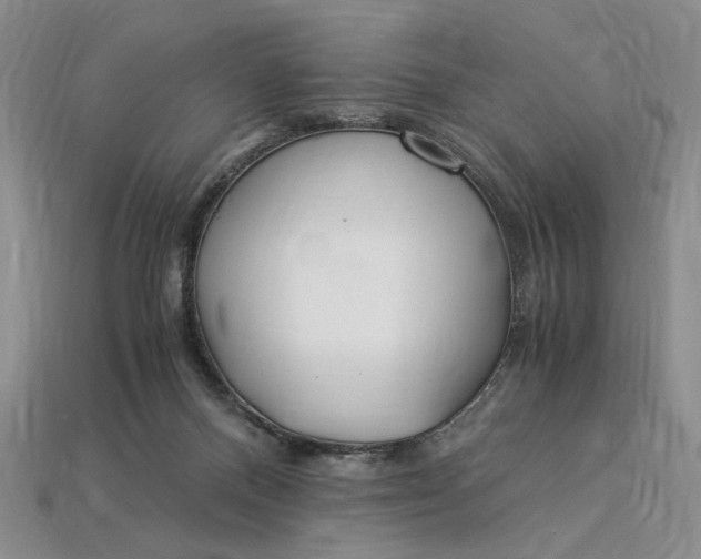 X0000112900120200909111533