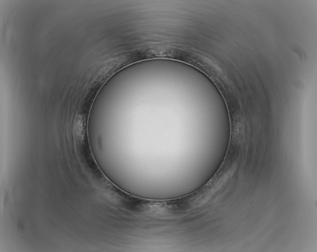 X0000112900121200909111533