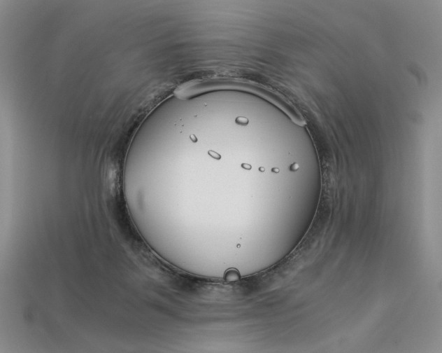 X0000112900123200909111533