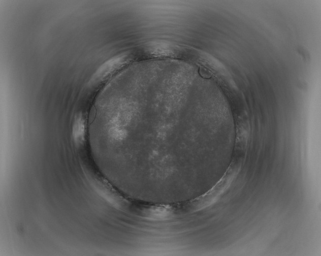 X0000112900124200909111533