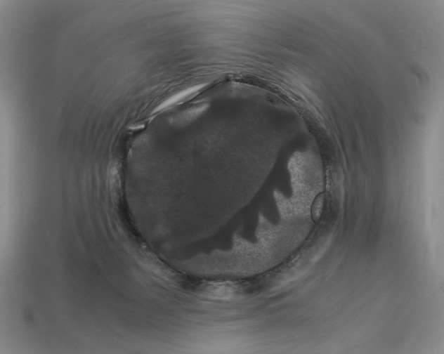 X0000112900127200909111533