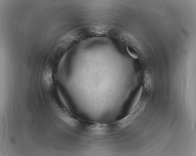 X0000112900128200909111533