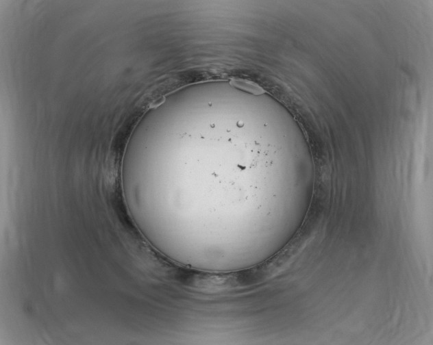 X0000112900129200909111533