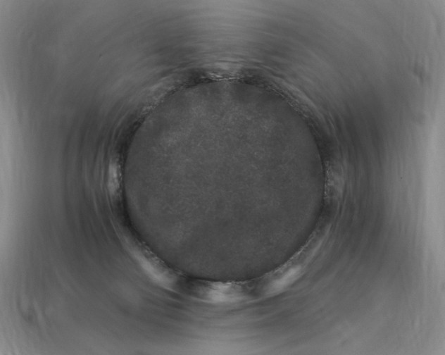 X0000112900130200909111533