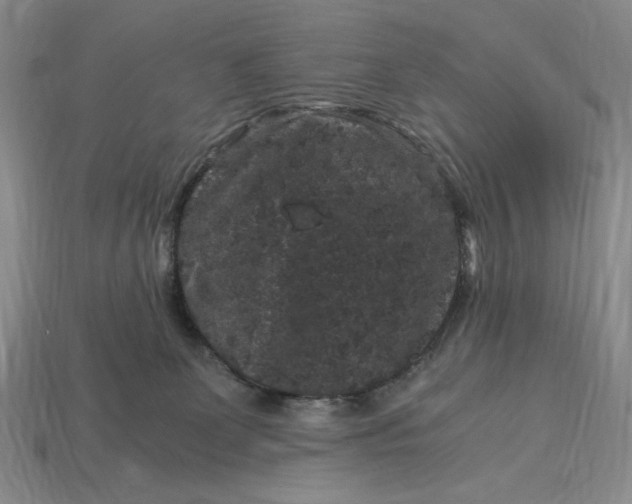 X0000112900131200909111533