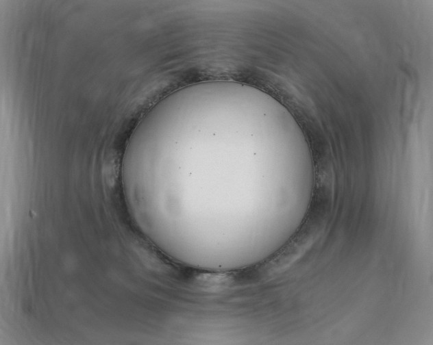 X0000112900133200909111533