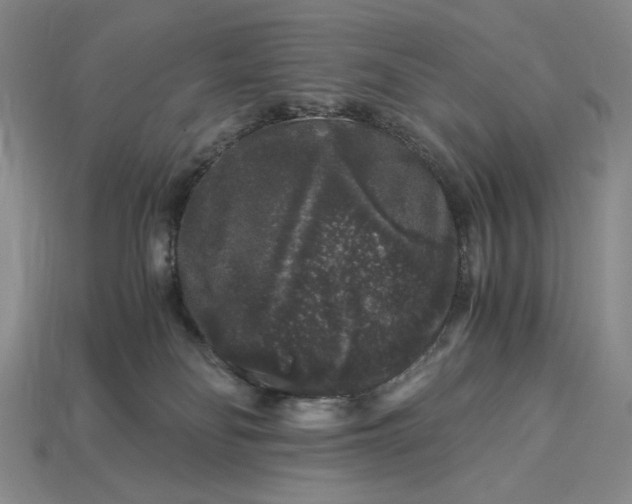 X0000112900134200909111533