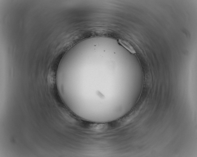 X0000112900135200909111533