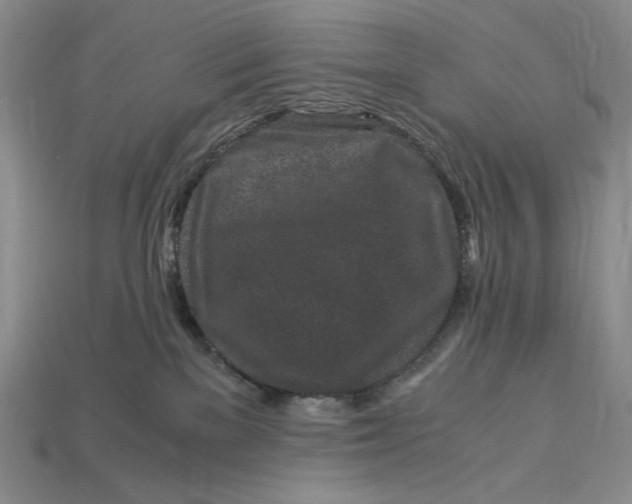 X0000112900137200909111533