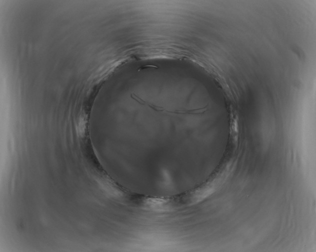 X0000112900139200909111533
