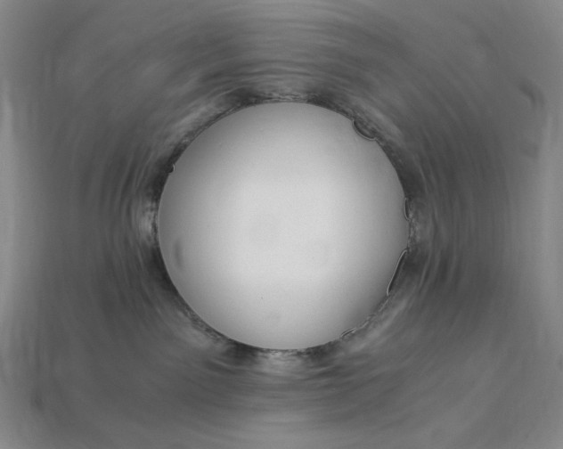 X0000112900141200909111533