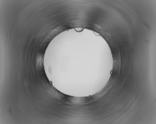 X0000112900142200909111533