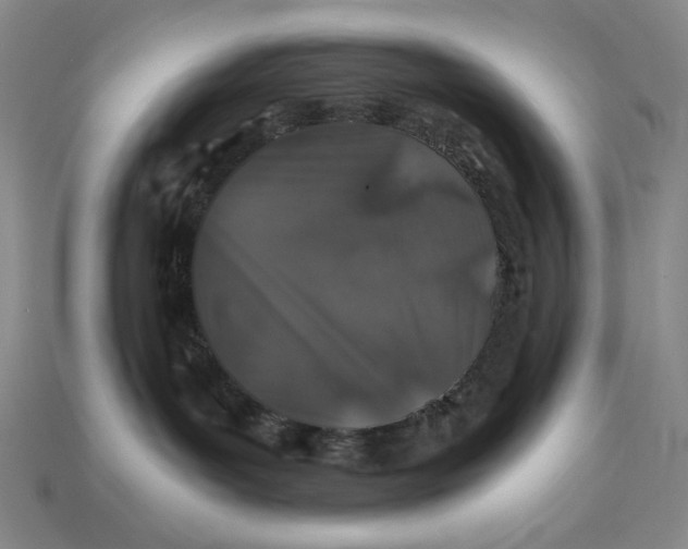 X0000112900143200909111533