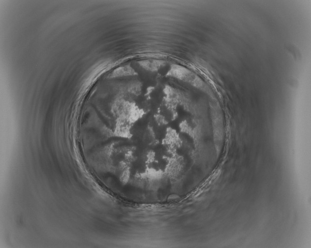 X0000112900145200909111532