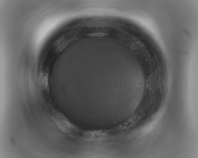 X0000112900146200909111532