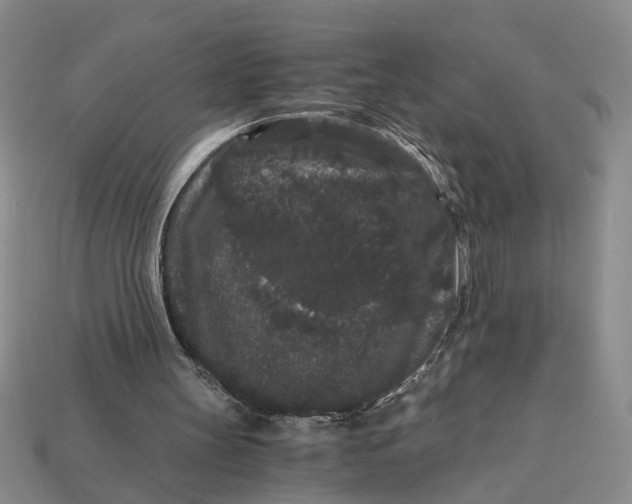 X0000112900147200909111532