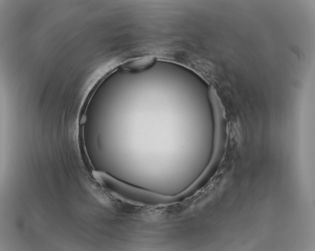 X0000112900148200909111532