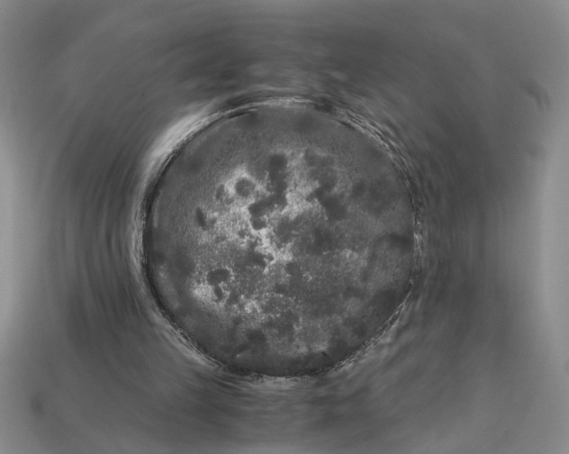 X0000112900149200909111532