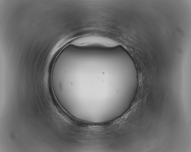 X0000112900150200909111532
