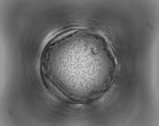 X0000112900151200909111532
